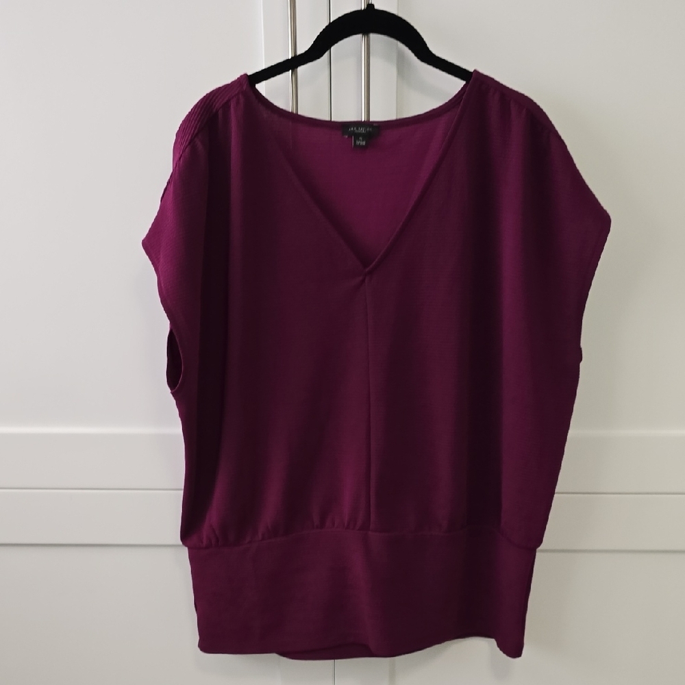 Ann Taylor Deep Purple V-Neck Blouse